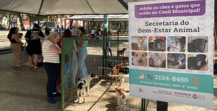 Portal de Not�cias PJF | Sebeal realiza 24� evento de ado��o respons�vel no Parque Halfeld neste s�bado, 15 | SEBEAL - 13/8/2026