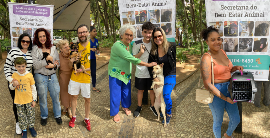 Portal de Not�cias PJF | No primeiro ano de exist�ncia, Secretaria do Bem-Estar Animal reduz o n�mero de animais abrigados no Canil Municipal | SEBEAL - 27/11/2025