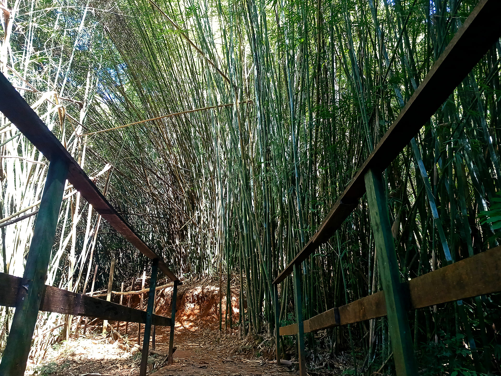Prefeitura de Juiz de Fora - Secretaria de Meio Ambiente e Mudanças Climáticas - Meio Ambiente- Parque da Lajinha
