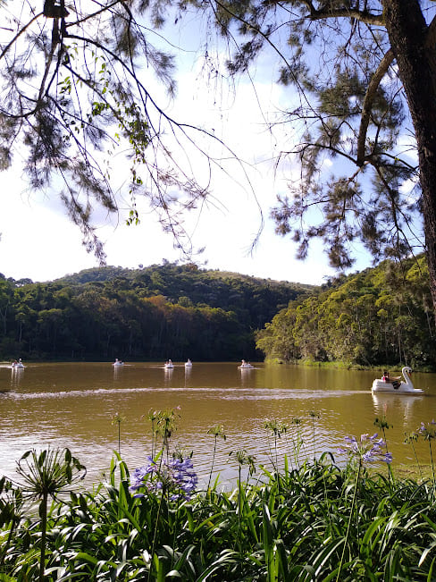 Prefeitura de Juiz de Fora - Secretaria de Meio Ambiente e Mudanças Climáticas - Meio Ambiente- Parque da Lajinha