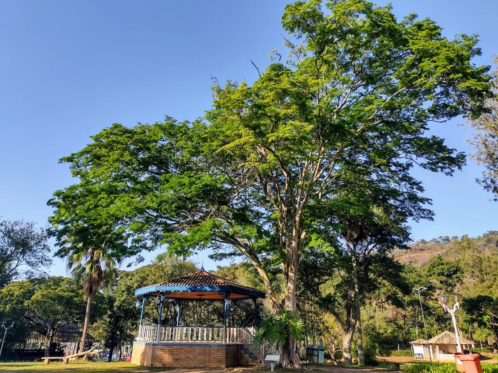 Prefeitura de Juiz de Fora - Secretaria de Meio Ambiente e Mudanças Climáticas - Meio Ambiente- Parque da Lajinha