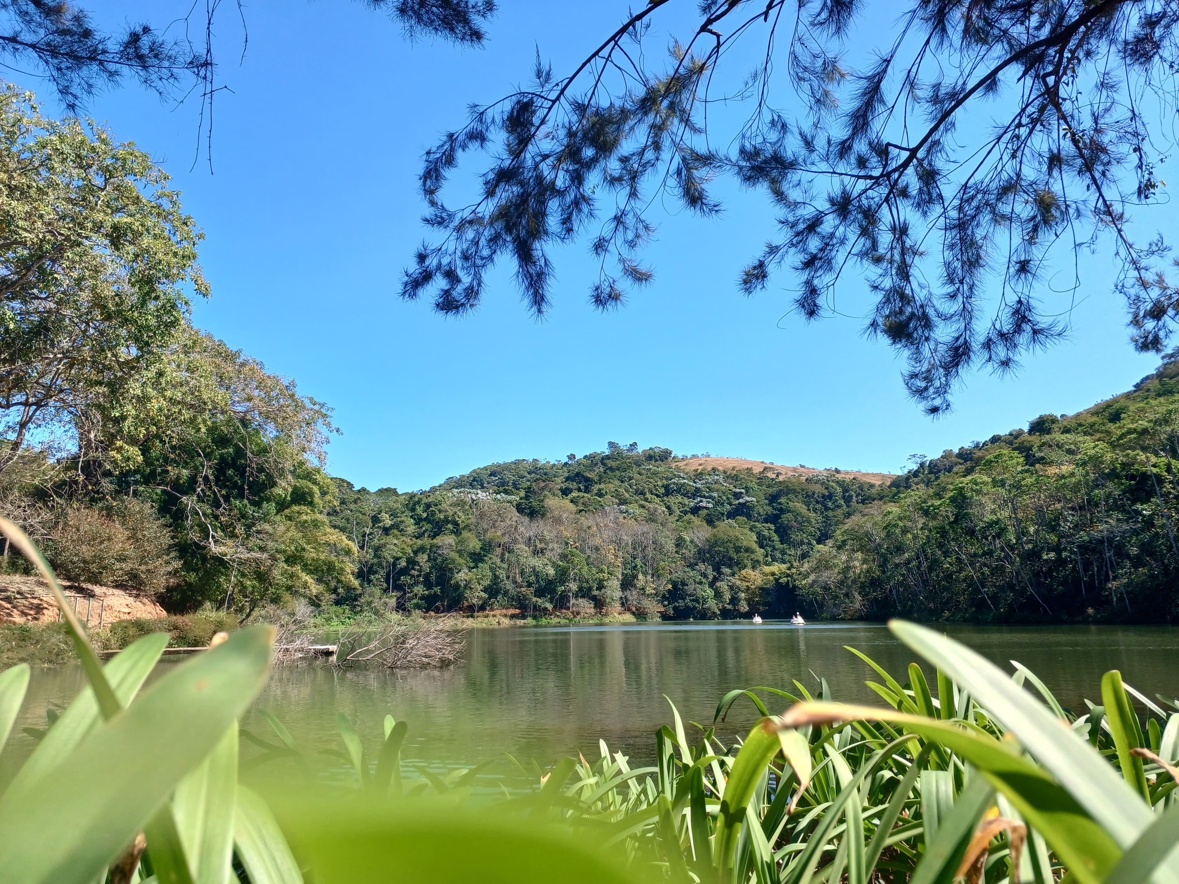 Prefeitura de Juiz de Fora - Secretaria de Meio Ambiente e Mudanças Climáticas - Meio Ambiente- Parque da Lajinha